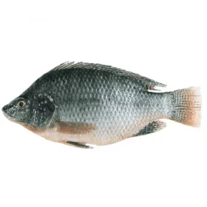 MOJARRA